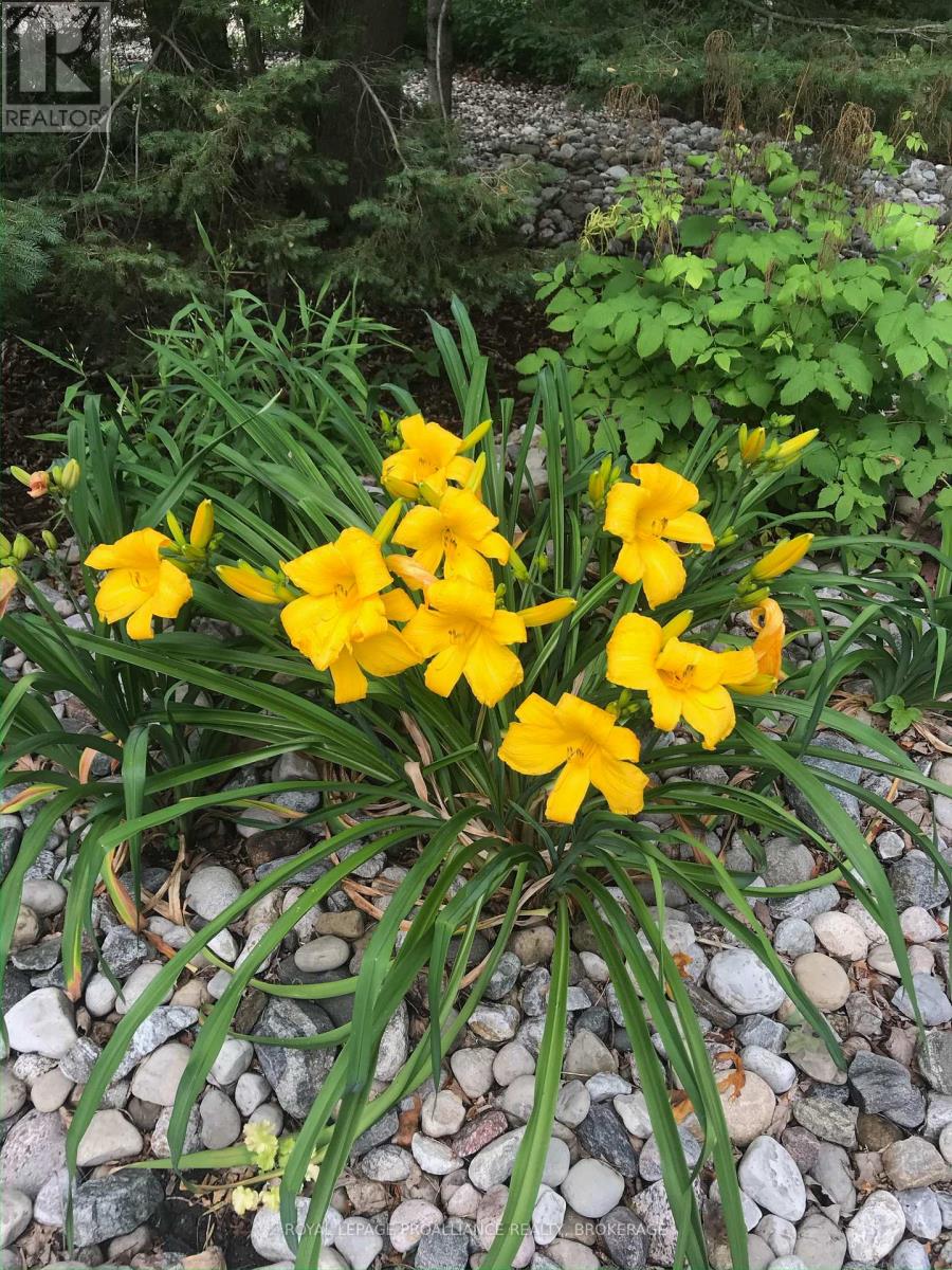 27 Riverside Drive, Kingston, Ontario  K7L 4V1 - Photo 40 - X12929684