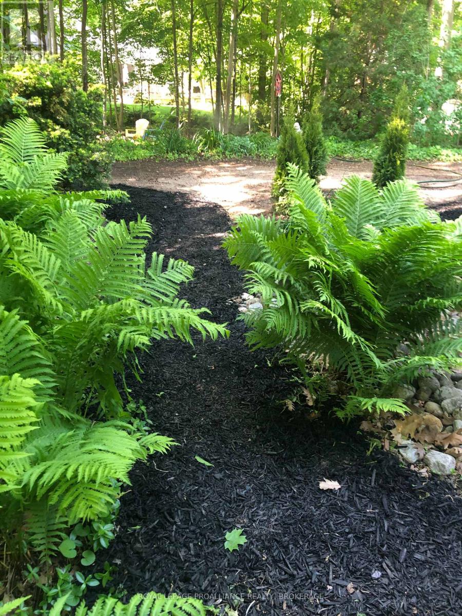 27 Riverside Drive, Kingston, Ontario  K7L 4V1 - Photo 41 - X12929684