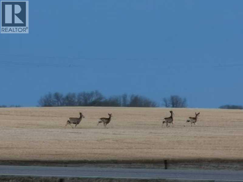 273250 Township Road 250 Road E, Rural Rocky View County, Alberta  T1Z 0Y5 - Photo 22 - A2235183