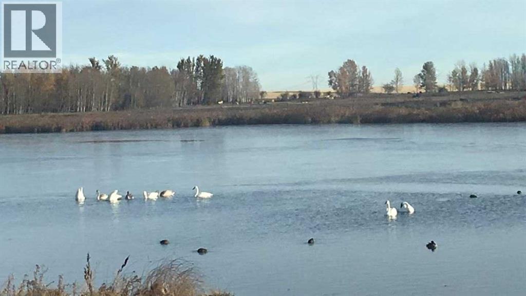 273250 Township Road 250 Road E, Rural Rocky View County, Alberta  T1Z 0Y5 - Photo 8 - A2235183