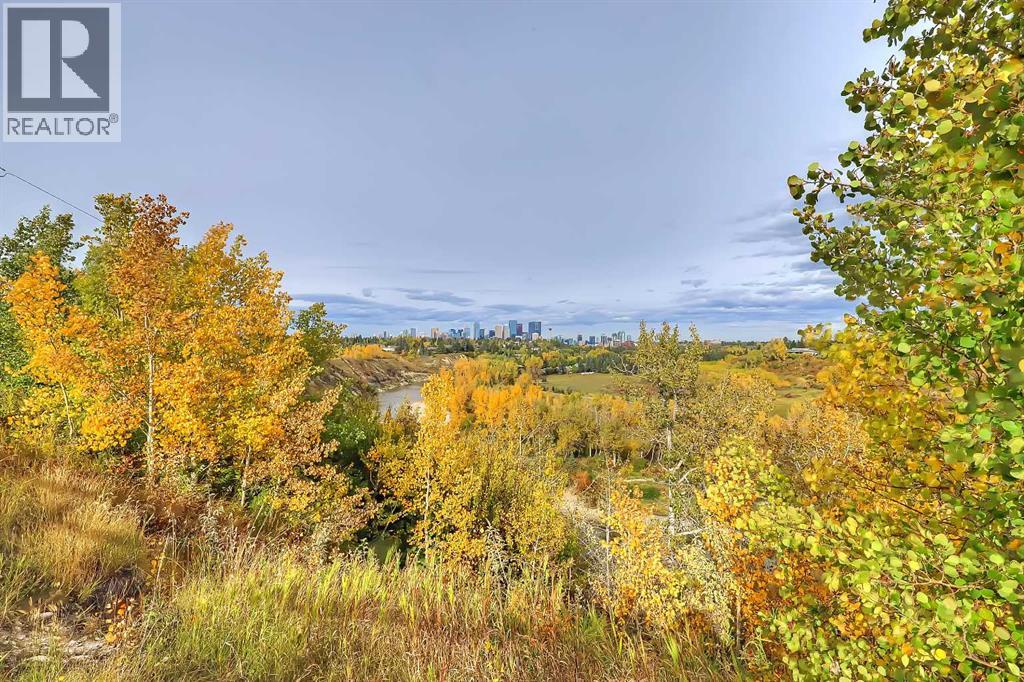 1705 46 Avenue Sw, Calgary, Alberta  T2T 2R6 - Photo 38 - A2296408