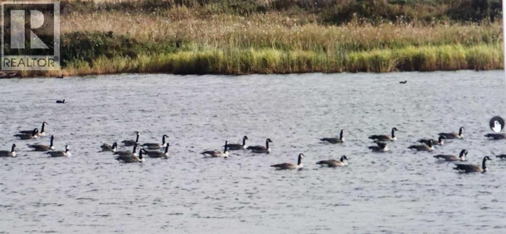 273250 Township Road 250 Road E, Rural Rocky View County, Alberta  T1Z 0Y5 - Photo 2 - A2235183