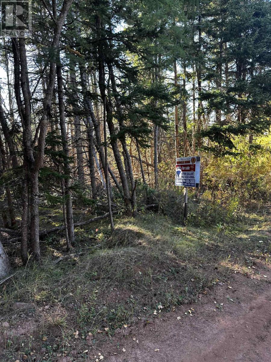 Lot 1 Dune Road, St. Felix, Prince Edward Island  C0B 2B0 - Photo 10 - 202525361