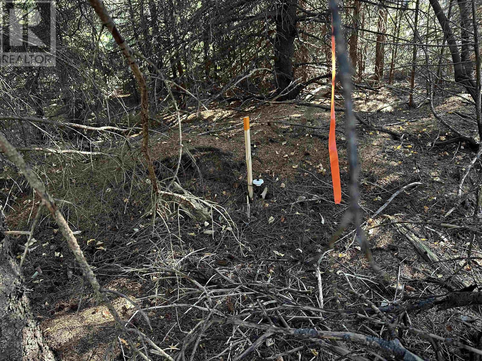 Lot 1 Dune Road, St. Felix, Prince Edward Island  C0B 2B0 - Photo 16 - 202525361