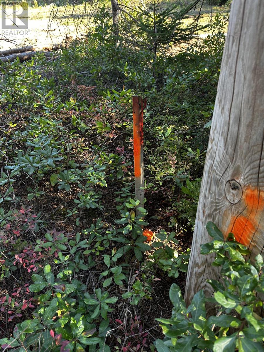 Lot 1 Dune Road, St. Felix, Prince Edward Island  C0B 2B0 - Photo 13 - 202525361