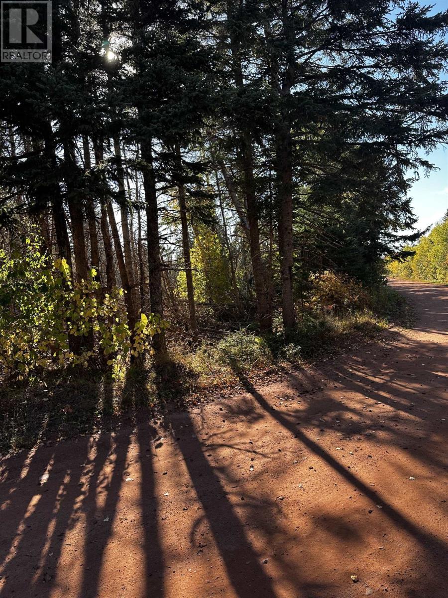 Lot 1 Dune Road, St. Felix, Prince Edward Island  C0B 2B0 - Photo 9 - 202525361