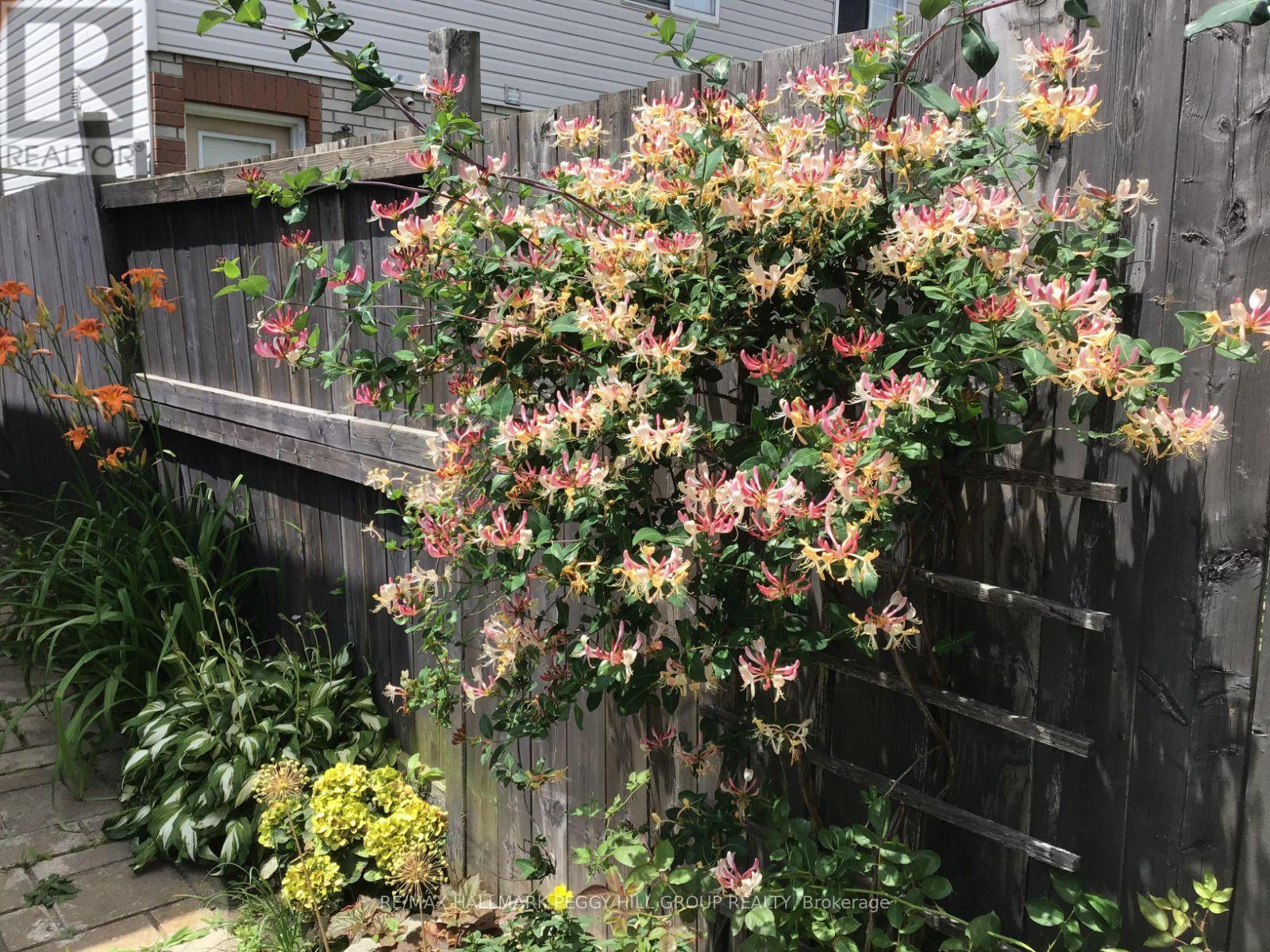 72 Stanley Street, Barrie (East Bayfield), Ontario  L4M 6V5 - Photo 14 - S12929814