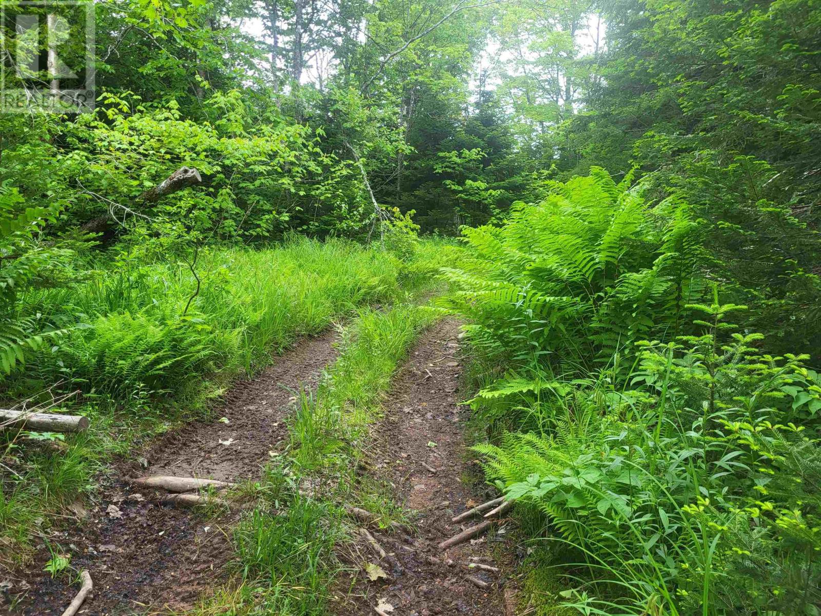 7219 Kemptown, Kemptown, Nova Scotia  B2N 5B1 - Photo 19 - 202515712