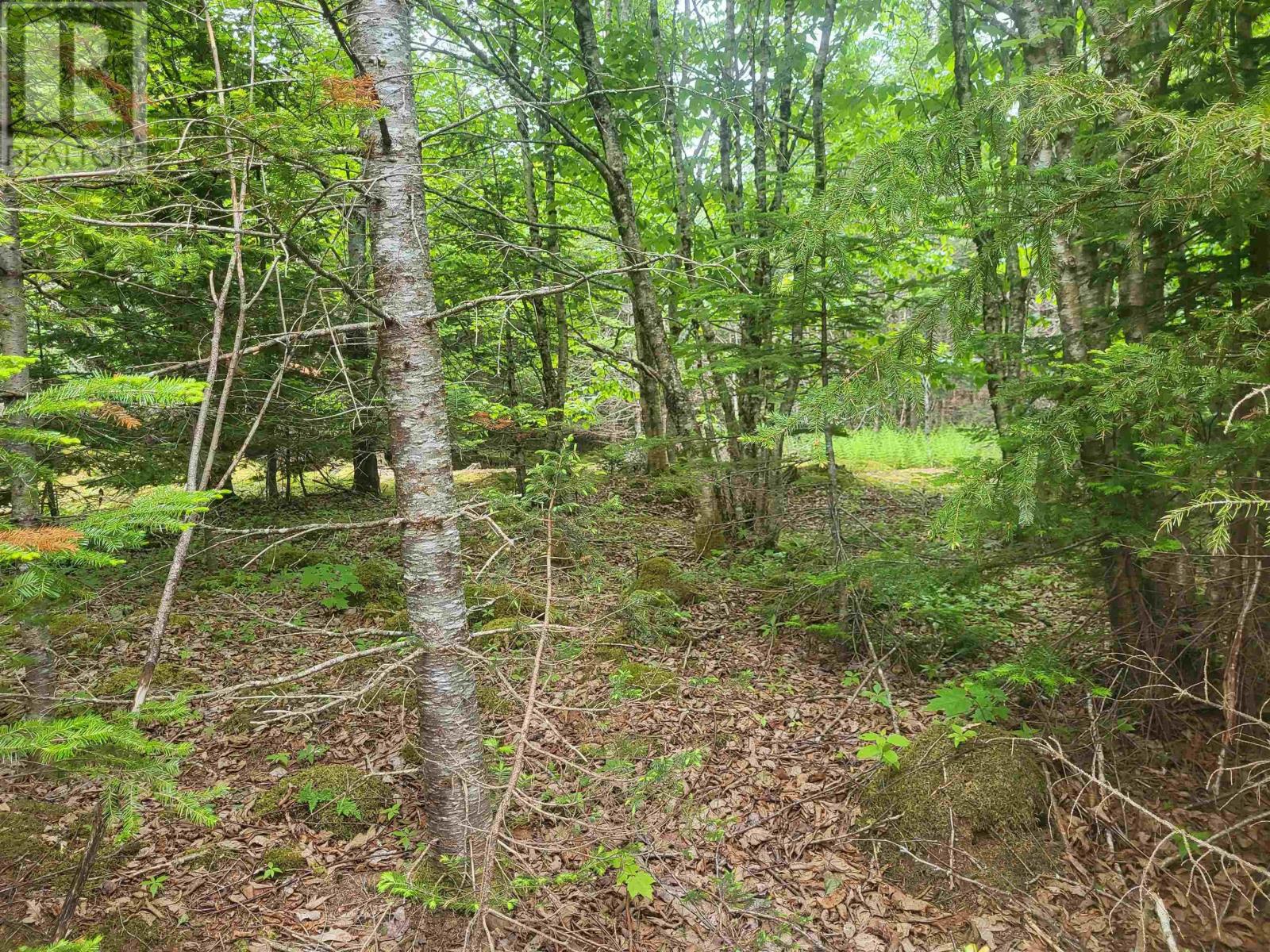 7219 Kemptown, Kemptown, Nova Scotia  B2N 5B1 - Photo 28 - 202515712