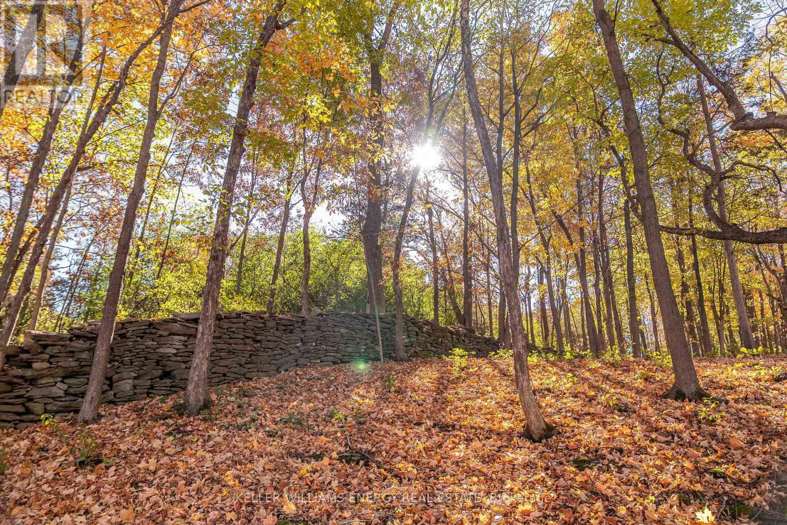 11858 Loyalist Parkway, Prince Edward County, Ontario  K0K 2T0 - Photo 10 - X12929916