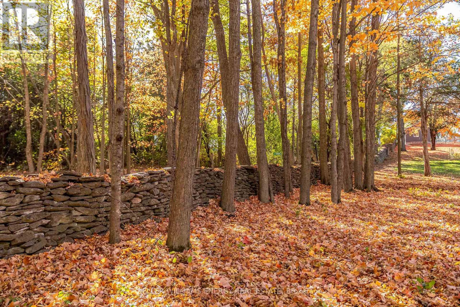 11858 Loyalist Parkway, Prince Edward County, Ontario  K0K 2T0 - Photo 12 - X12929916