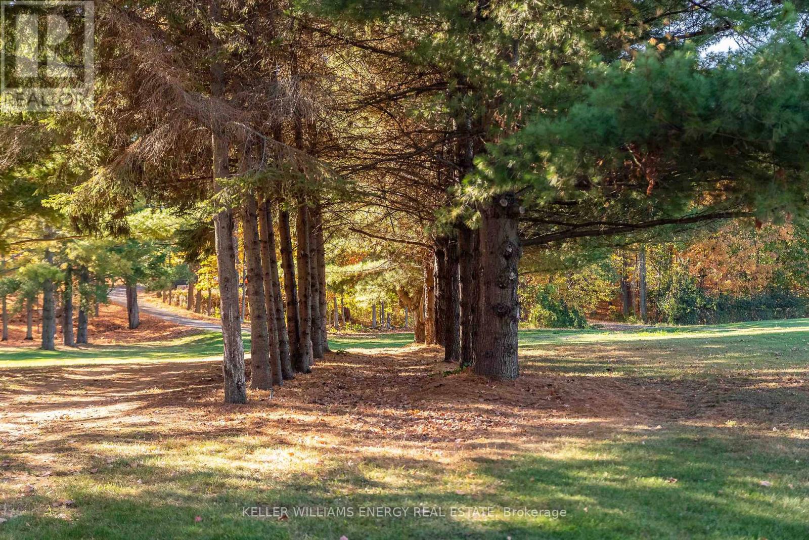 11858 Loyalist Parkway, Prince Edward County, Ontario  K0K 2T0 - Photo 9 - X12929916