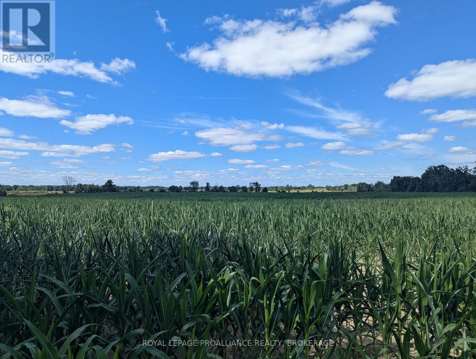 2622 4TH CONCESSION ROAD, Kingston, Ontario