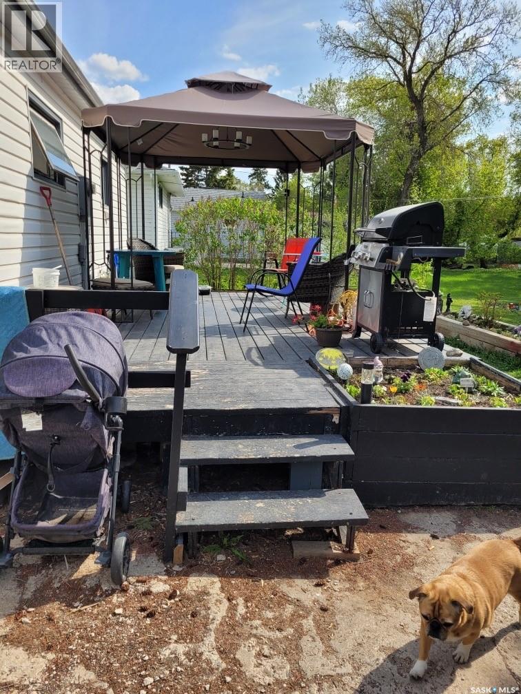 237 2nd Street Nw, Wadena, Saskatchewan  S0A 4J0 - Photo 15 - SK031434