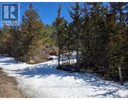 590 LOVE ROAD, Loyalist, Ontario