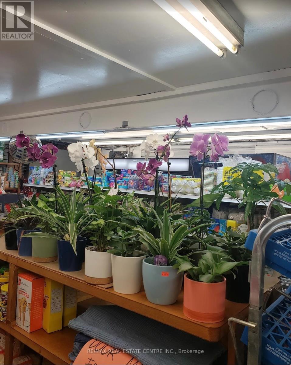 257 Murray Street, Brantford, Ontario  N3S 5S4 - Photo 10 - X12928476