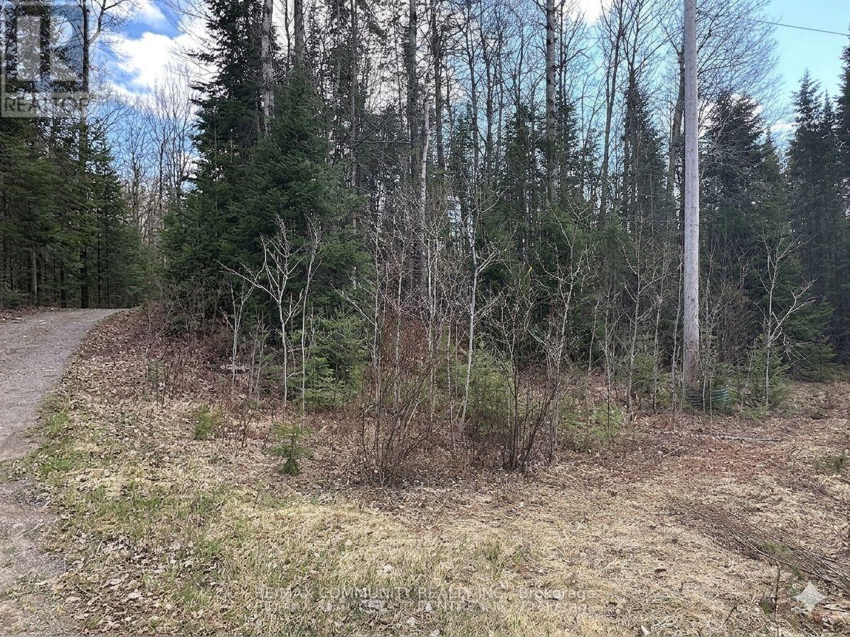 12 Con 22 Cardiff Concession, Highlands East, Ontario  K0L 3C0 - Photo 2 - X12921818