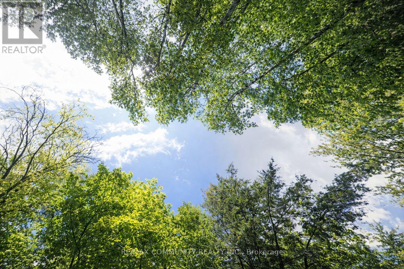 12 Con 22 Cardiff Concession, Highlands East, Ontario  K0L 3C0 - Photo 7 - X12921818