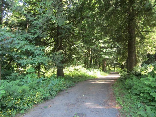 11121 Barnes Road, Mission, British Columbia  V0M 1G0 - Photo 3 - R3074795