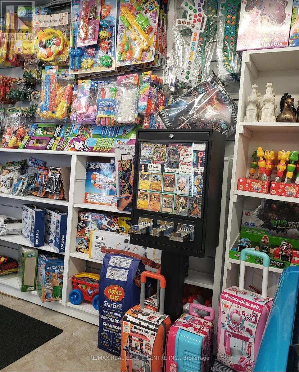 257 Murray Street, Brantford, Ontario  N3S 5S4 - Photo 5 - X12928476