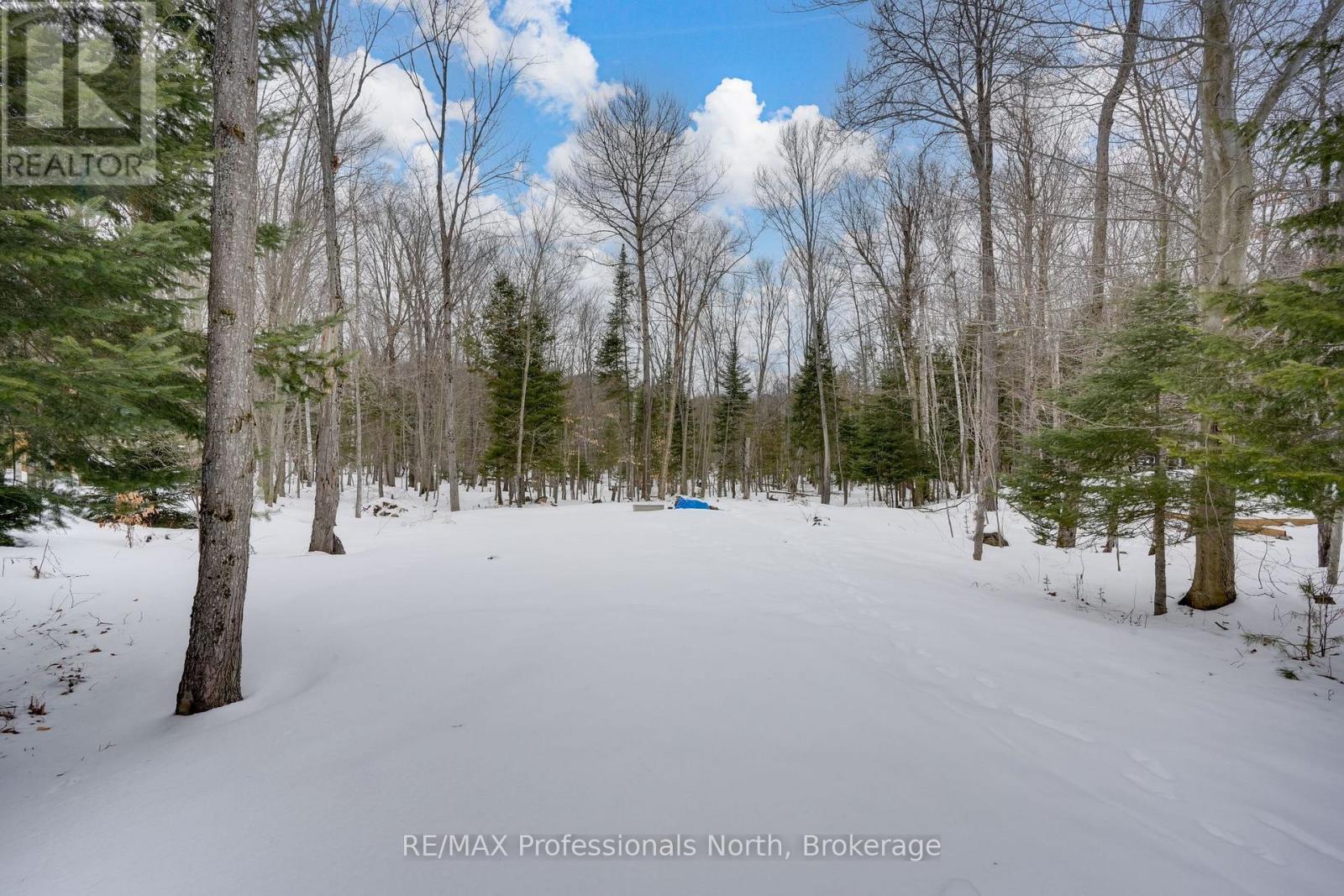 230 Townline Road W Road, Huntsville, Ontario  P1H 1S7 - Photo 38 - X12930100