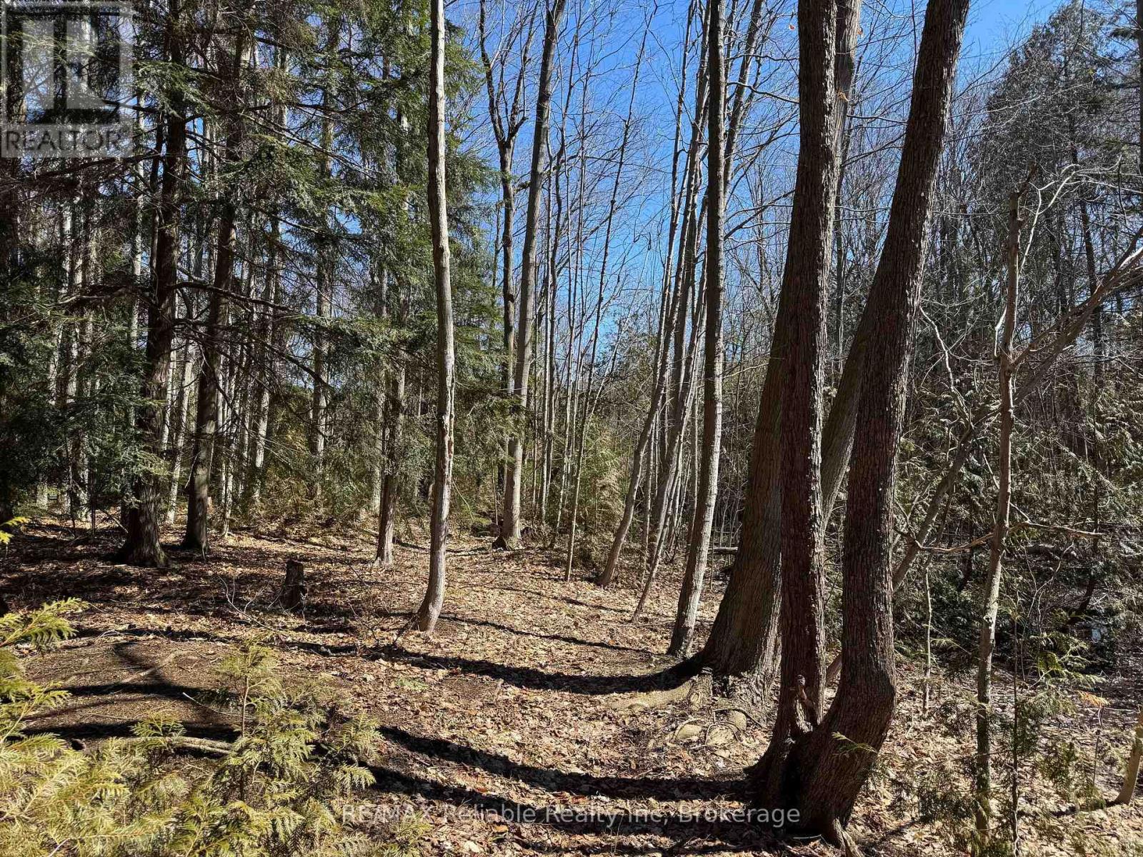 28 George Street, Bluewater, Ontario N0M 1G0 - Photo 2 - X12930156