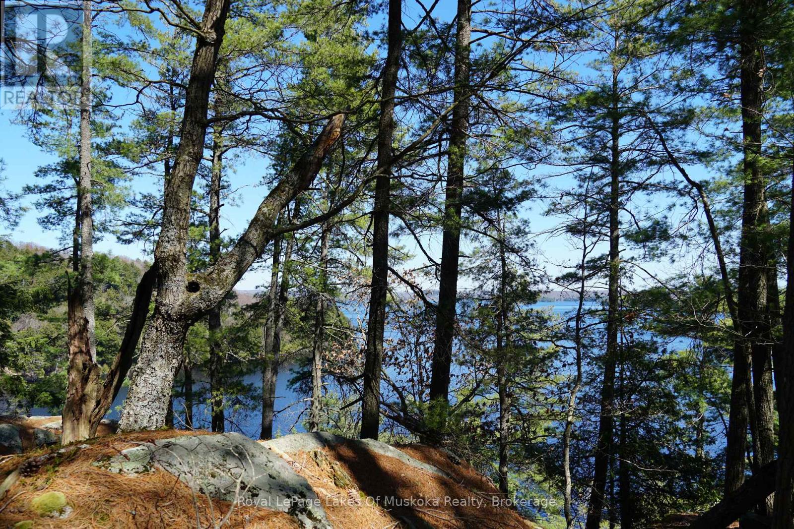 29 Thorburn Lane, Huntsville, Ontario P1H 0C3 - Photo 11 - X12930172