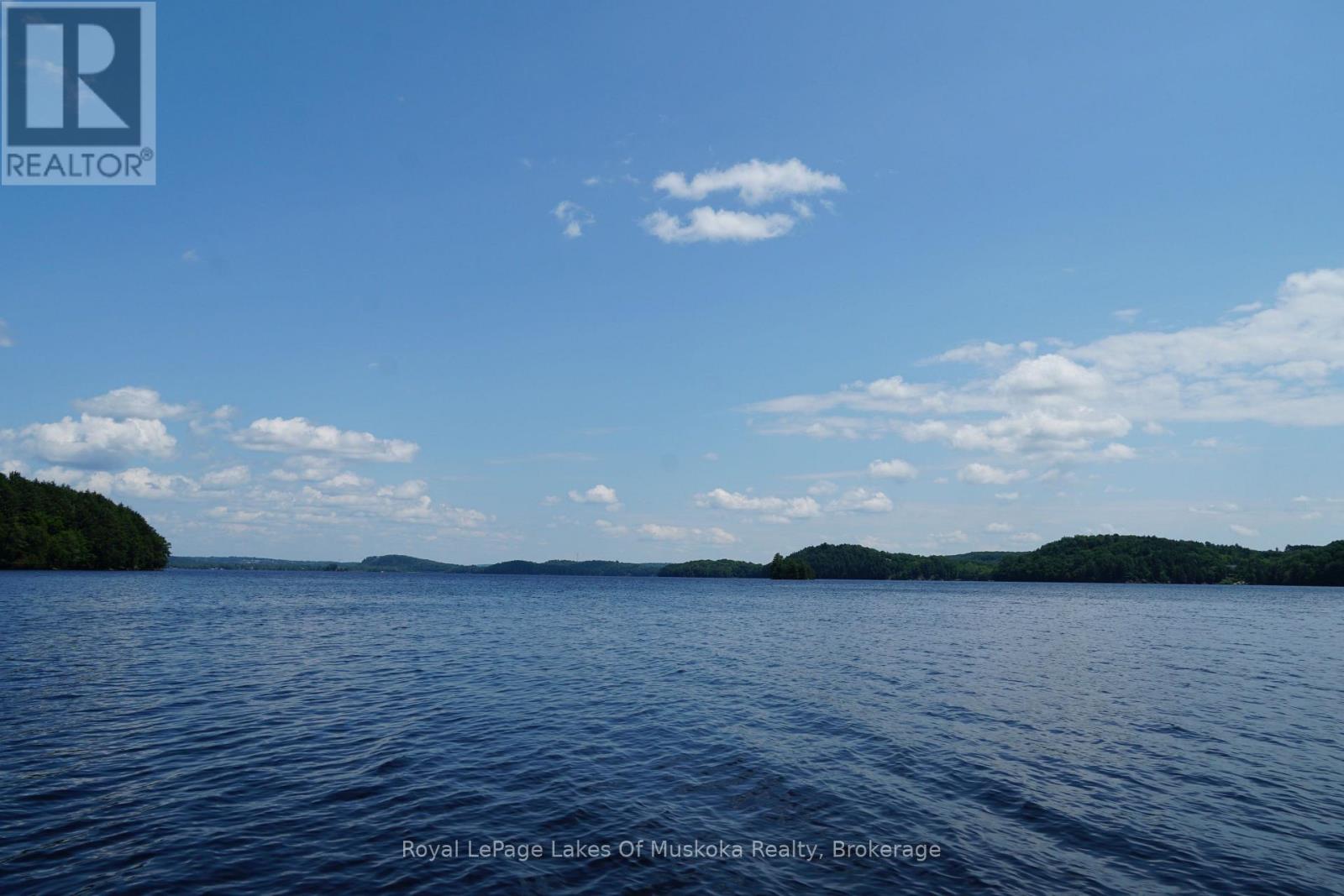 29 Thorburn Lane, Huntsville, Ontario P1H 0C3 - Photo 13 - X12930172