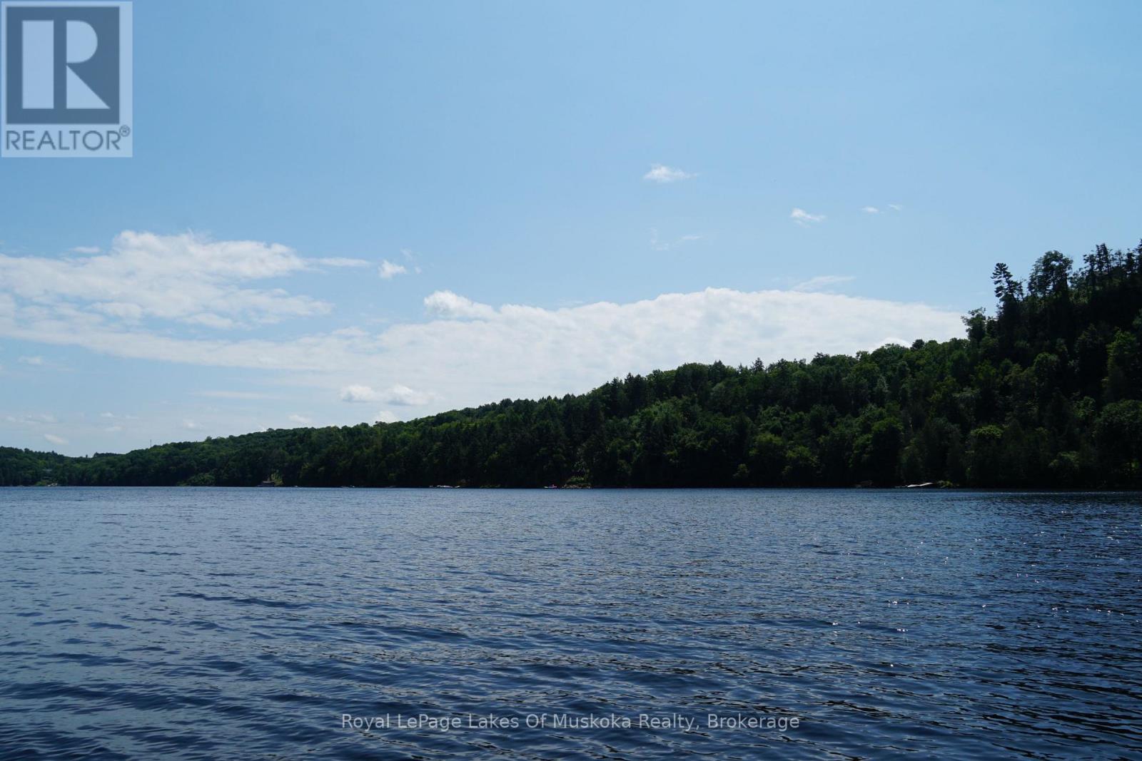 29 Thorburn Lane, Huntsville, Ontario P1H 0C3 - Photo 14 - X12930172