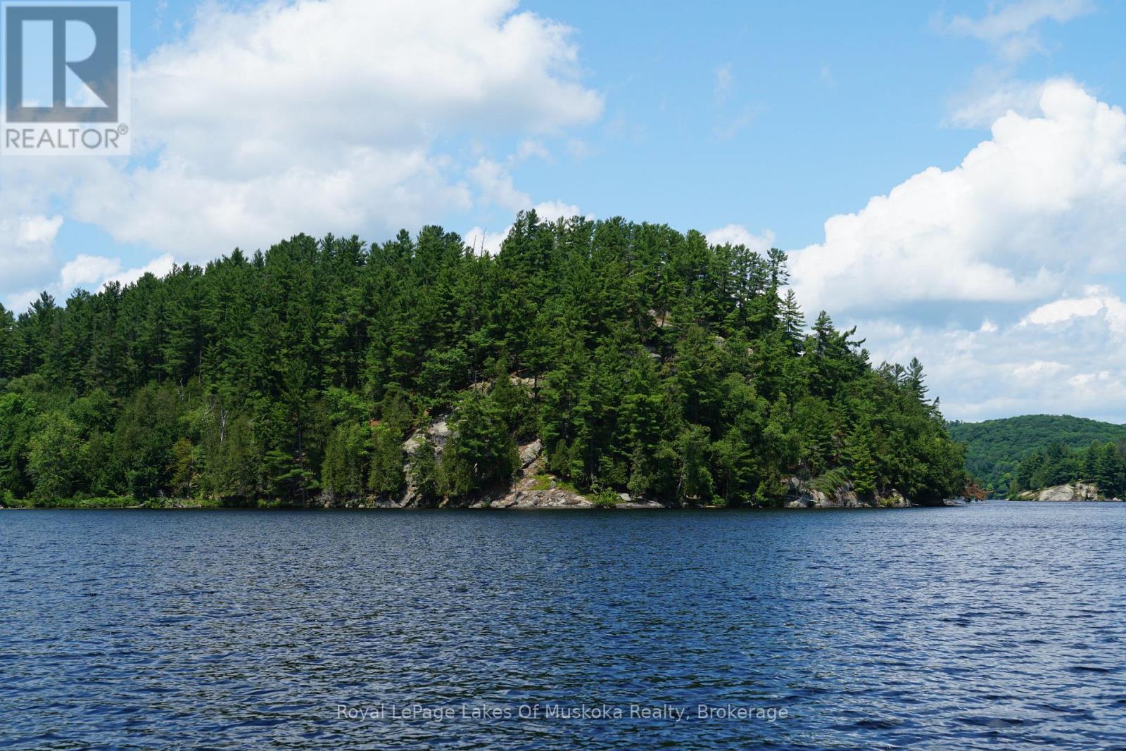 29 Thorburn Lane, Huntsville, Ontario P1H 0C3 - Photo 15 - X12930172