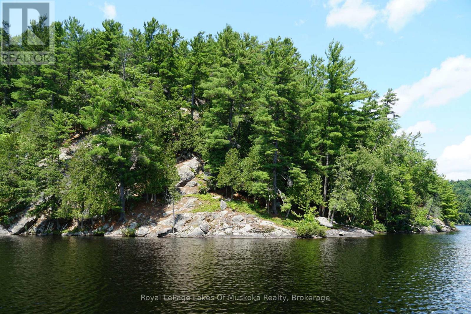 29 Thorburn Lane, Huntsville, Ontario P1H 0C3 - Photo 16 - X12930172