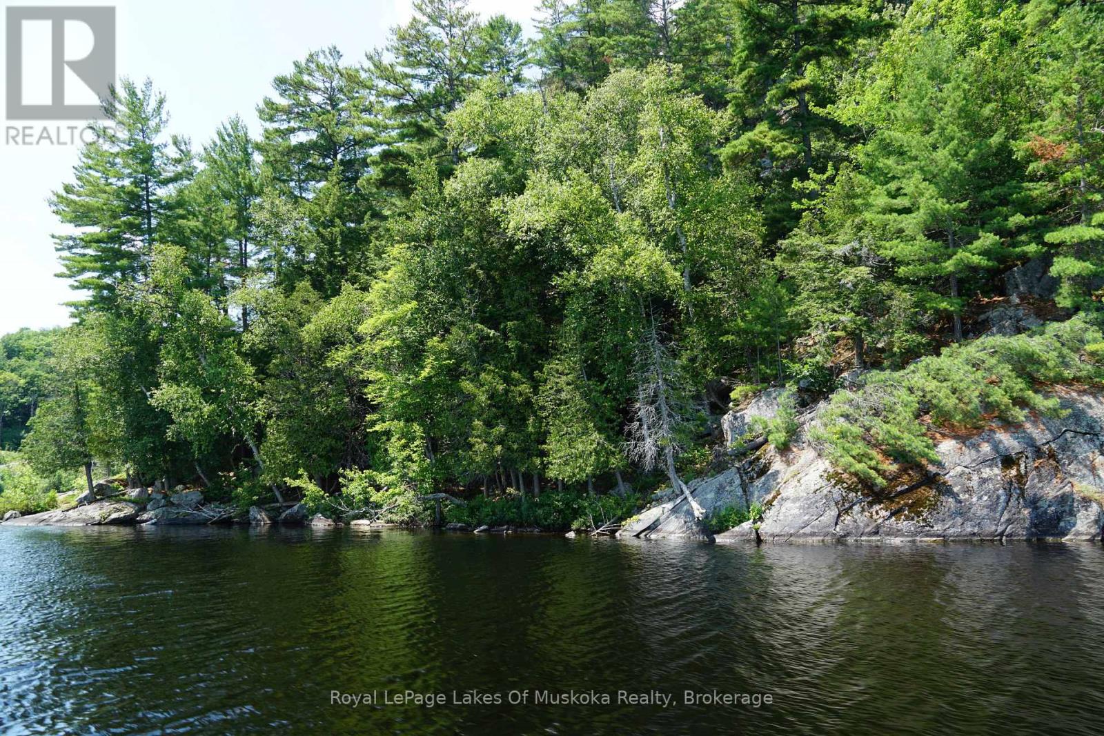 29 Thorburn Lane, Huntsville, Ontario P1H 0C3 - Photo 17 - X12930172