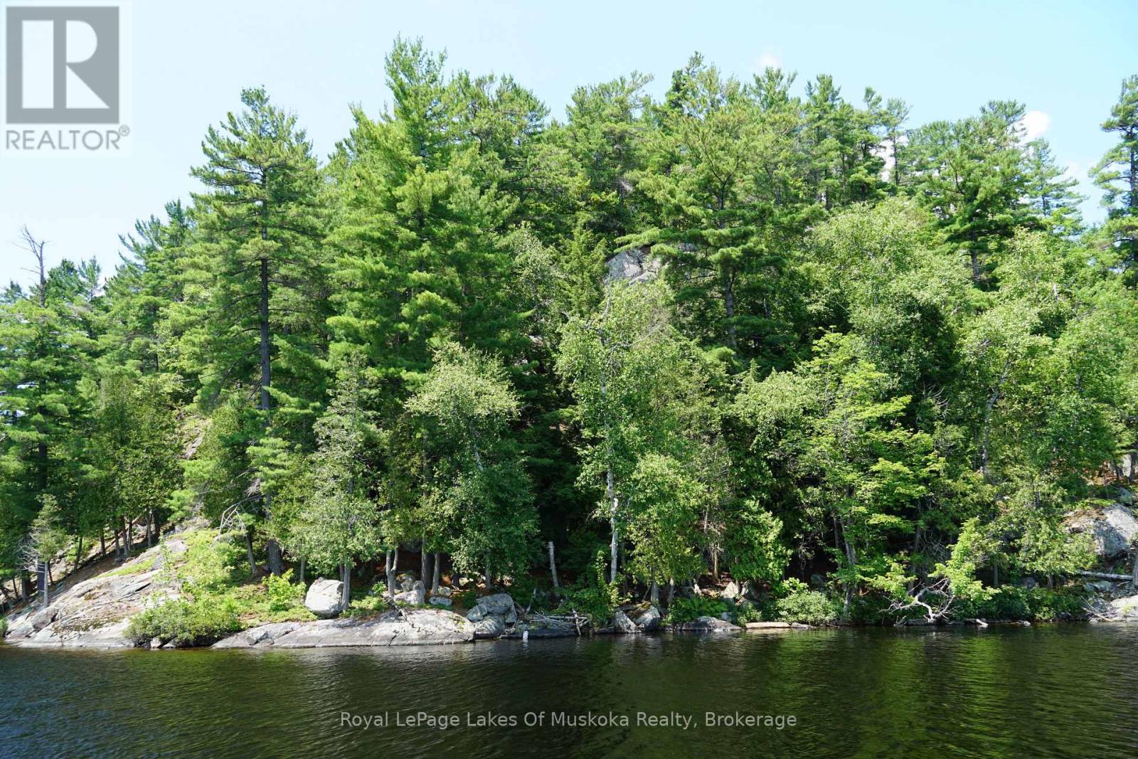 29 Thorburn Lane, Huntsville, Ontario P1H 0C3 - Photo 18 - X12930172