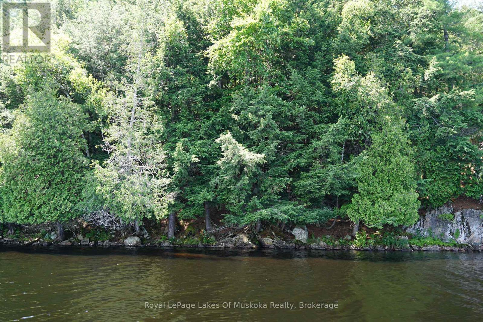 29 Thorburn Lane, Huntsville, Ontario P1H 0C3 - Photo 19 - X12930172