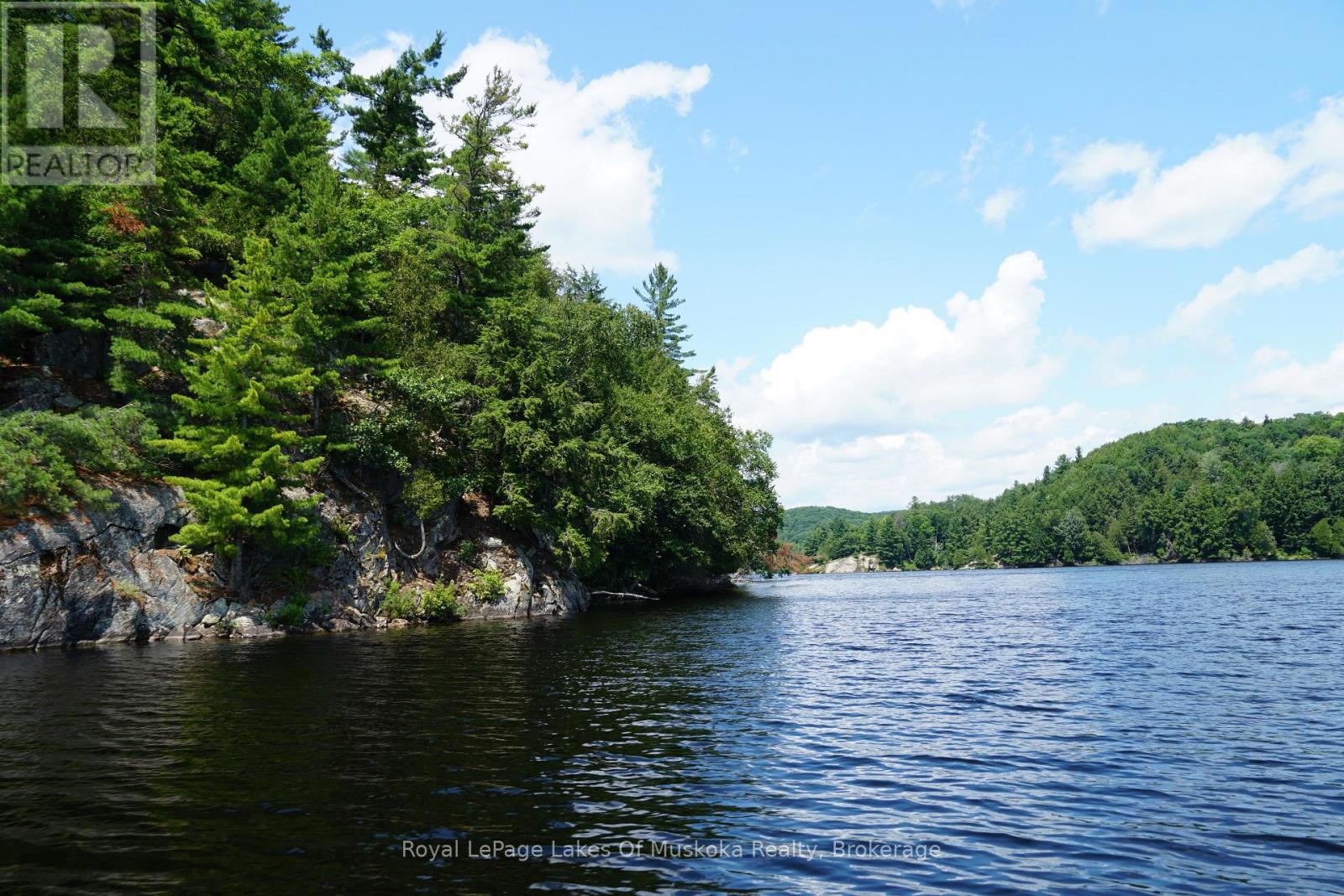 29 Thorburn Lane, Huntsville, Ontario P1H 0C3 - Photo 20 - X12930172