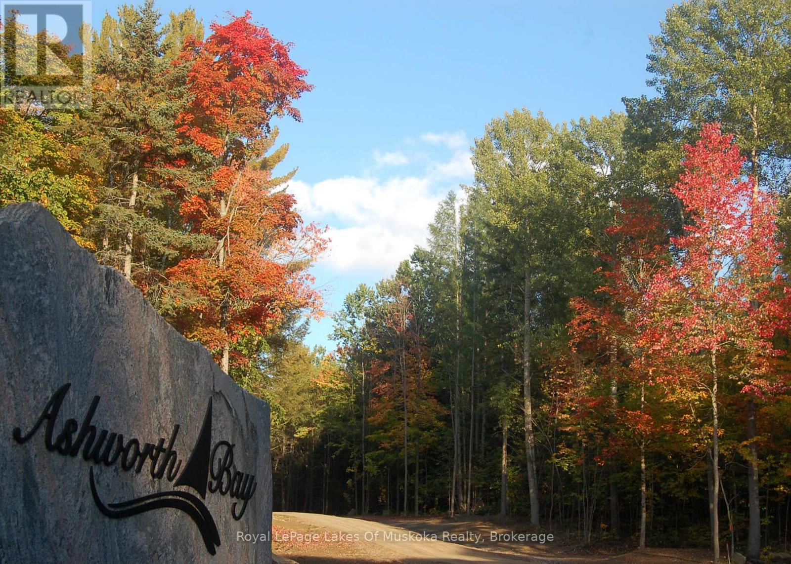 29 Thorburn Lane, Huntsville, Ontario P1H 0C3 - Photo 22 - X12930172