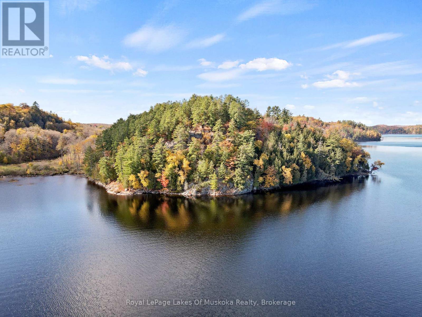 29 Thorburn Lane, Huntsville, Ontario P1H 0C3 - Photo 3 - X12930172