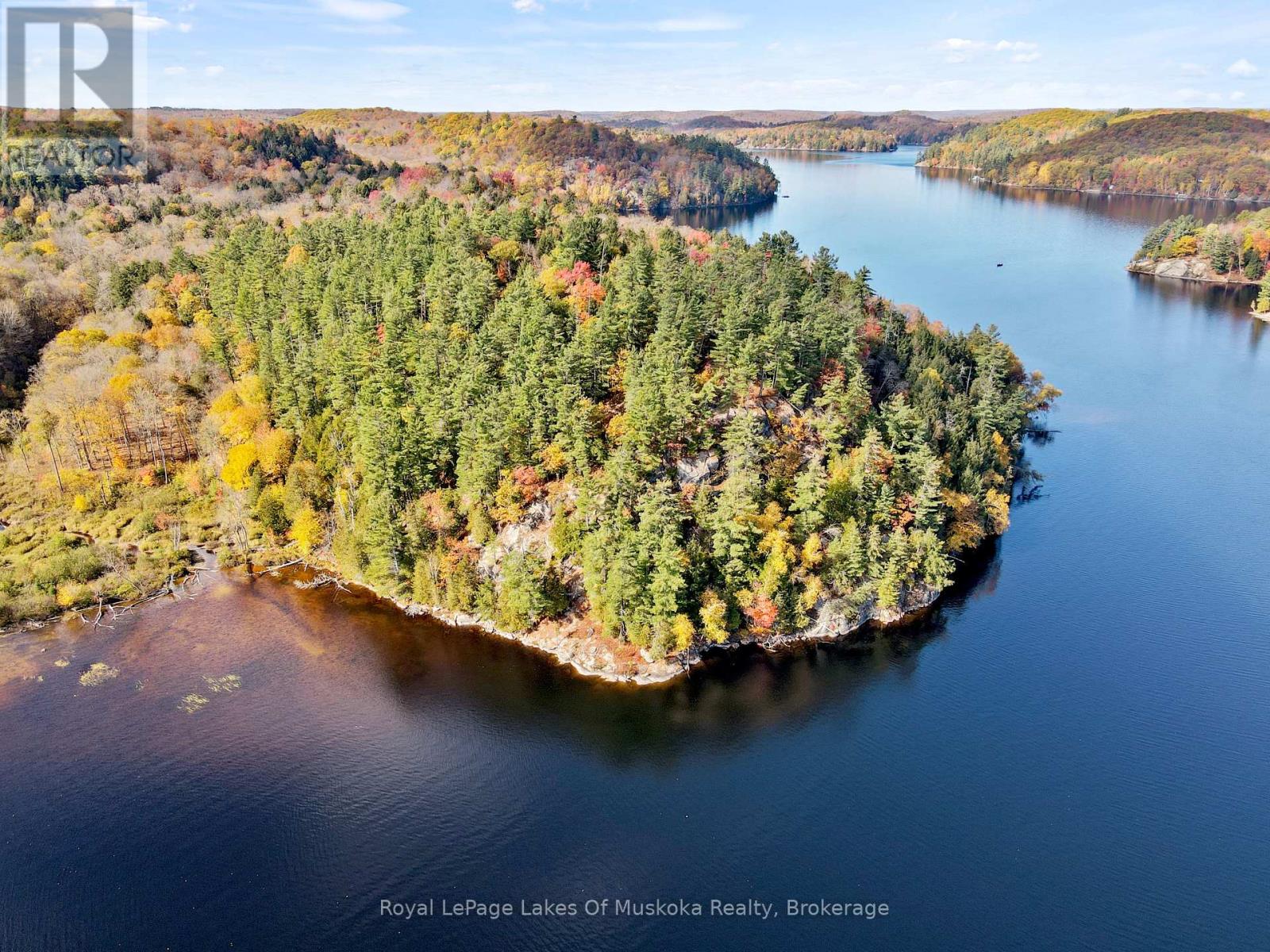 29 Thorburn Lane, Huntsville, Ontario P1H 0C3 - Photo 4 - X12930172