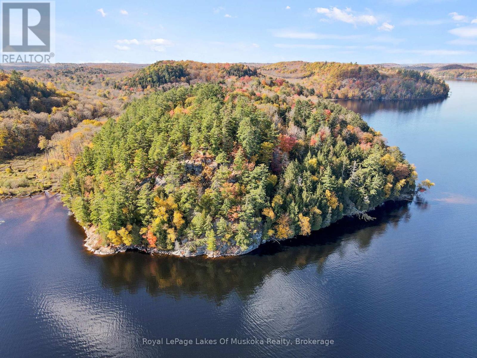 29 Thorburn Lane, Huntsville, Ontario P1H 0C3 - Photo 5 - X12930172