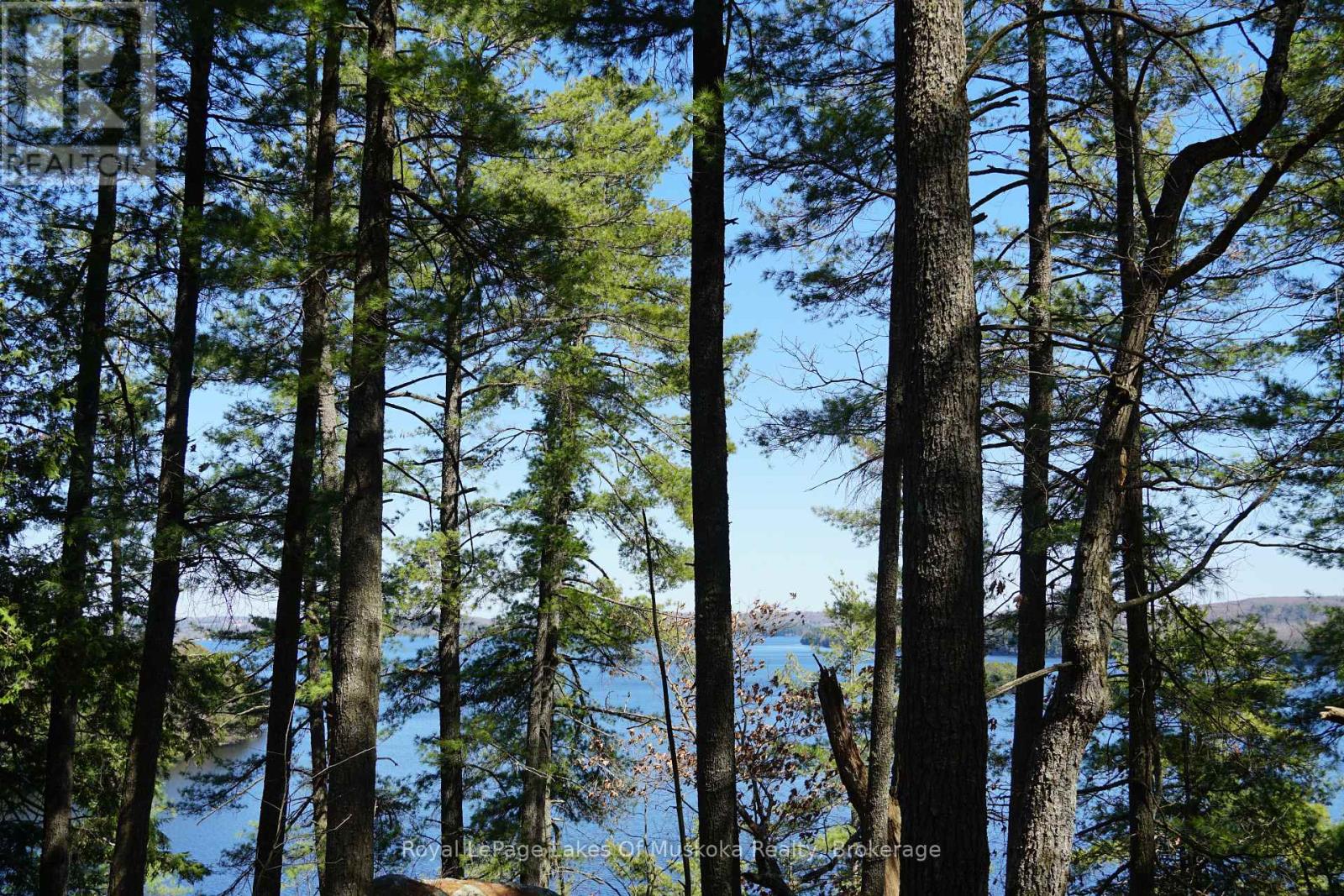 29 Thorburn Lane, Huntsville, Ontario P1H 0C3 - Photo 9 - X12930172