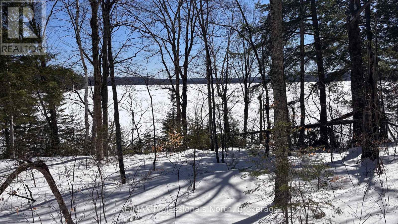 Lot 26 Flatwater Cove Trail, Dysart Et Al, Ontario K0M 1S0 - Photo 5 - X12930188