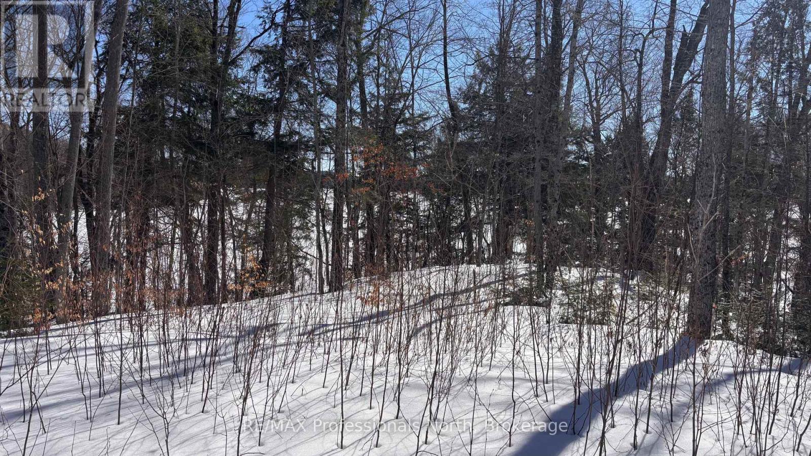 Lot 26 Flatwater Cove Trail, Dysart Et Al, Ontario K0M 1S0 - Photo 6 - X12930188