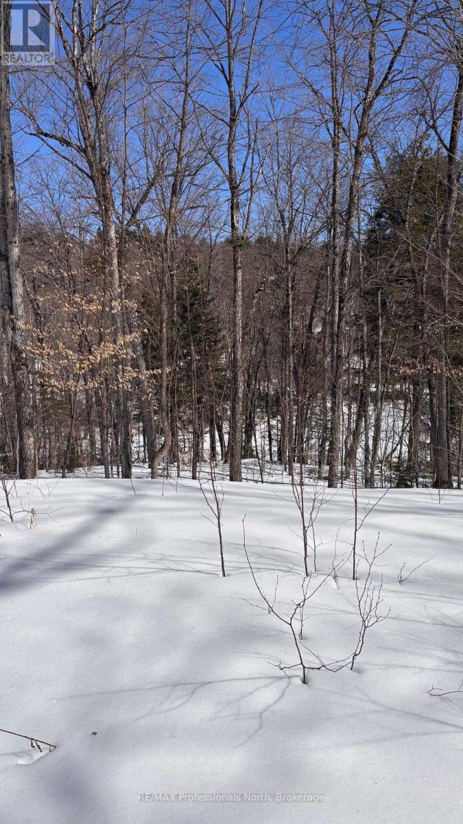 Lot 26 Flatwater Cove Trail, Dysart Et Al, Ontario K0M 1S0 - Photo 7 - X12930188