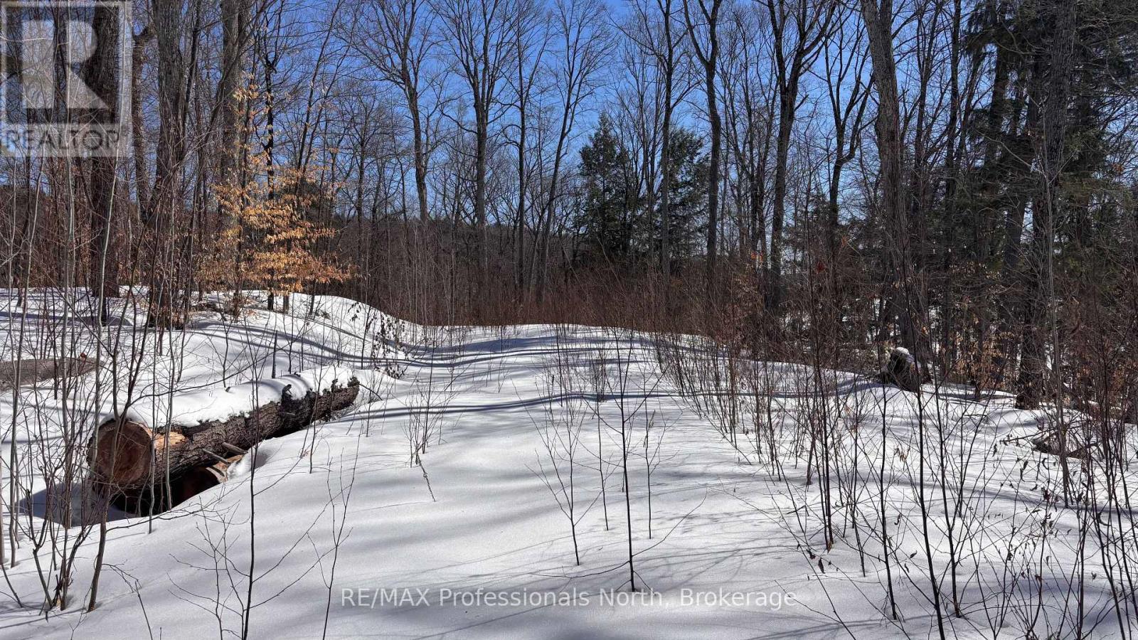 Lot 26 Flatwater Cove Trail, Dysart Et Al, Ontario K0M 1S0 - Photo 8 - X12930188