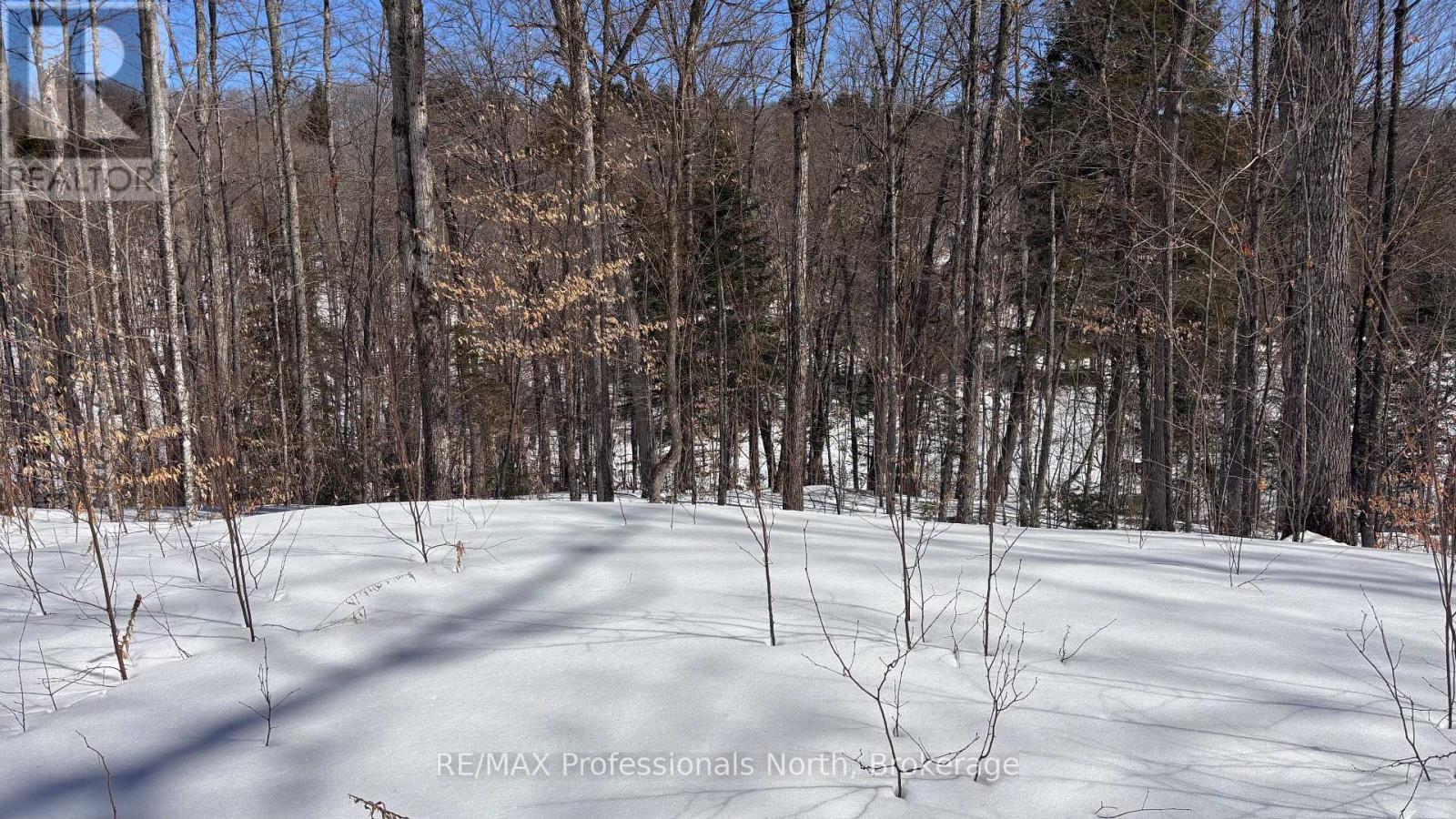 Lot 26 Flatwater Cove Trail, Dysart Et Al, Ontario K0M 1S0 - Photo 9 - X12930188