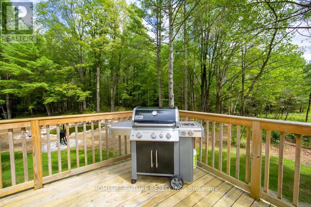 1559 North Belmont Concession, Havelock-Belmont-Methuen, Ontario  K0L 1Z0 - Photo 10 - X12899626