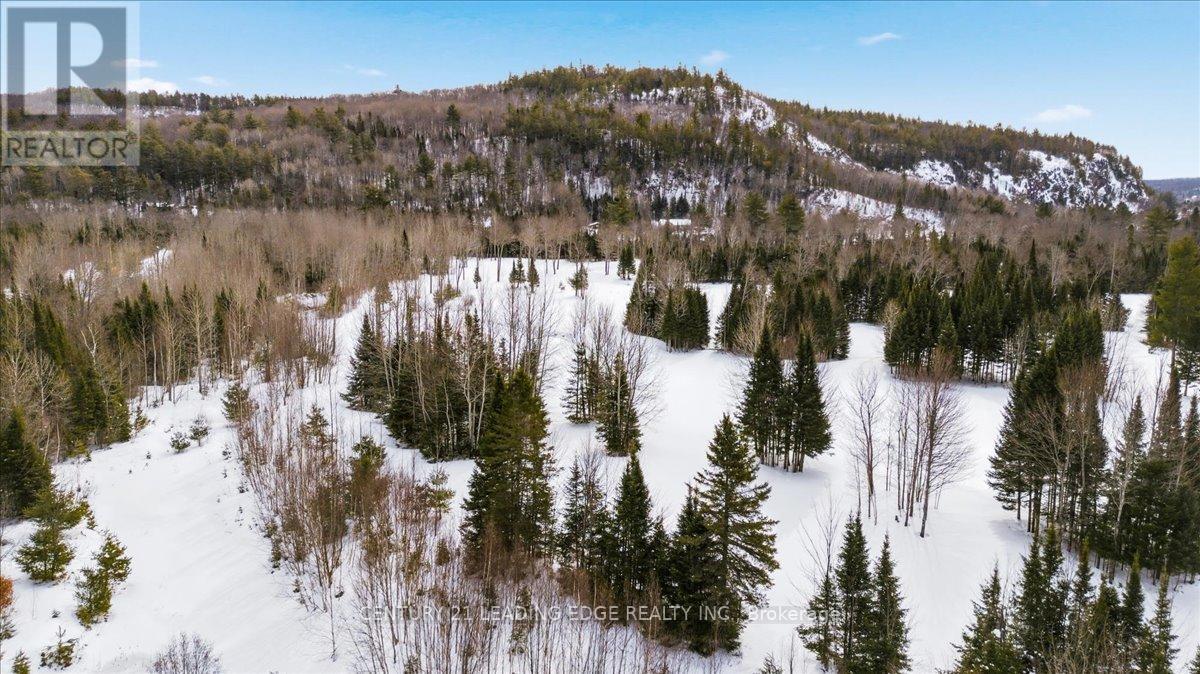 40 Bancroft Ridge Drive, Bancroft, Ontario  K0L 1C0 - Photo 36 - X12928528