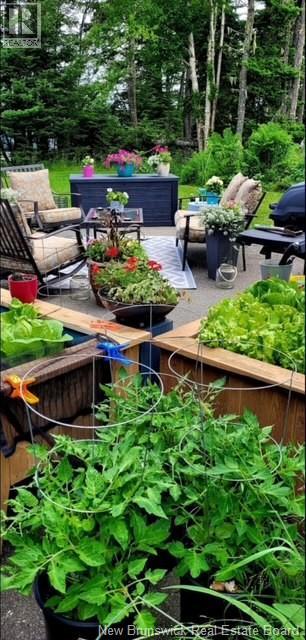 Lorem Ipsum Dol, Beaver Harbour, New Brunswick  E5H  - Photo 14 - DEMO29519753