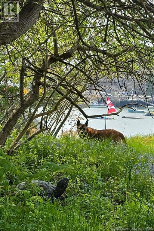 Lorem Ipsum Dol, Beaver Harbour, New Brunswick  E5H  - Photo 6 - DEMO29519753