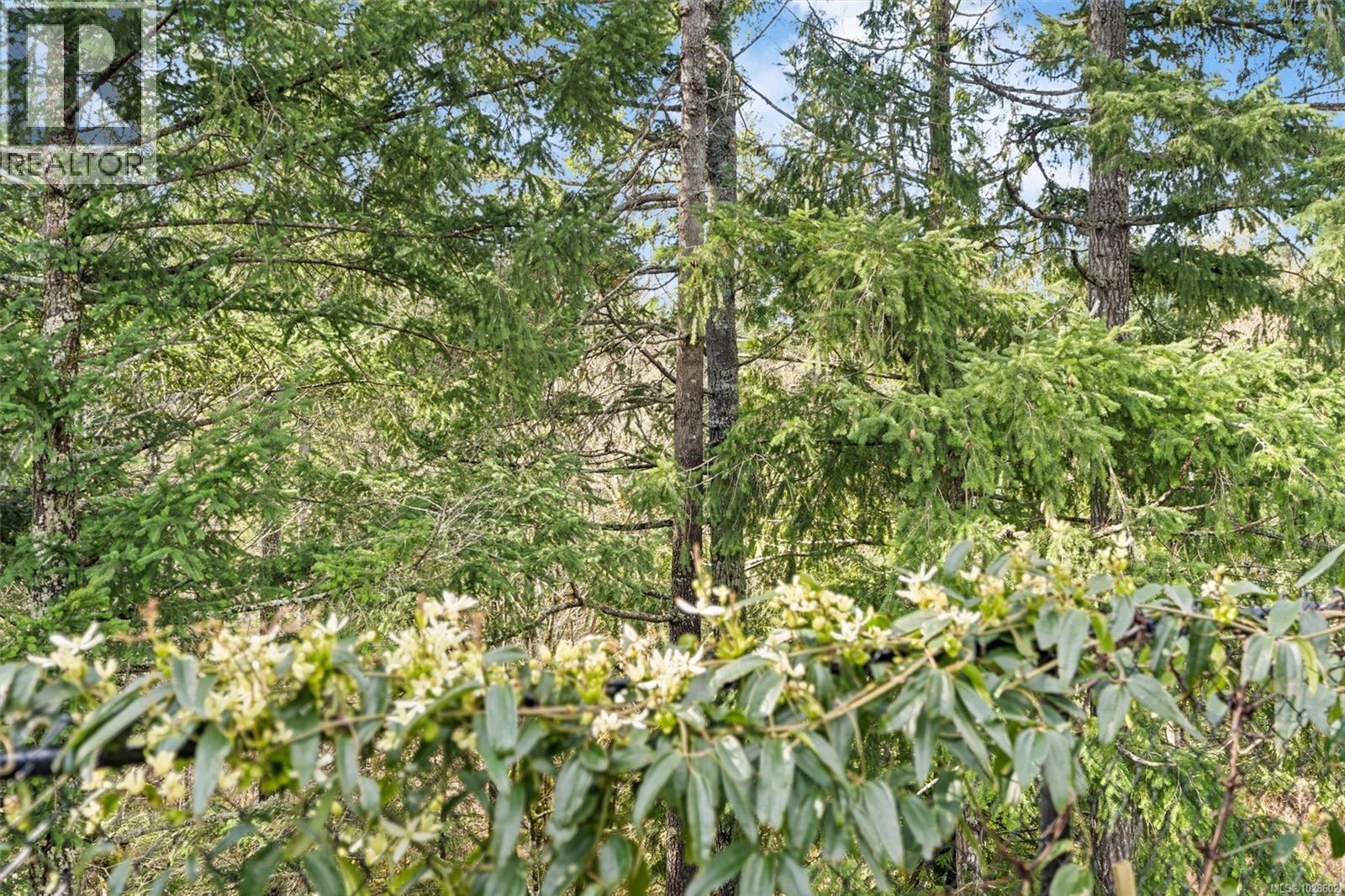 925 Blakeon Pl, Langford, British Columbia  V9C 0R3 - Photo 29 - 1028602